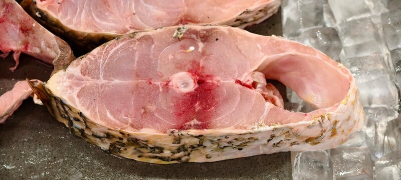 Fresh raw Threadfin fish steaks arranged on a surface with ice cubes, showing pink flesh, visible muscle fibers, bone structure, and skin details. The ice emphasizes freshness and seafood preservation