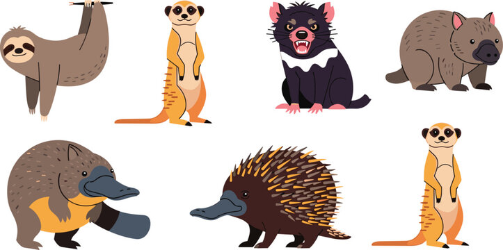 Australian Wildlife Animal Icon Set with Sloth Meerkat Tasmanian Devil Wombat Platypus Echidna and Native Fauna Characters for Nature Illustration Design