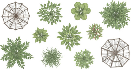 Top view landscape trees and garden umbrellas, architectural site plan symbols for landscaping design, set of 11 vector plant and patio icons © Federico.com