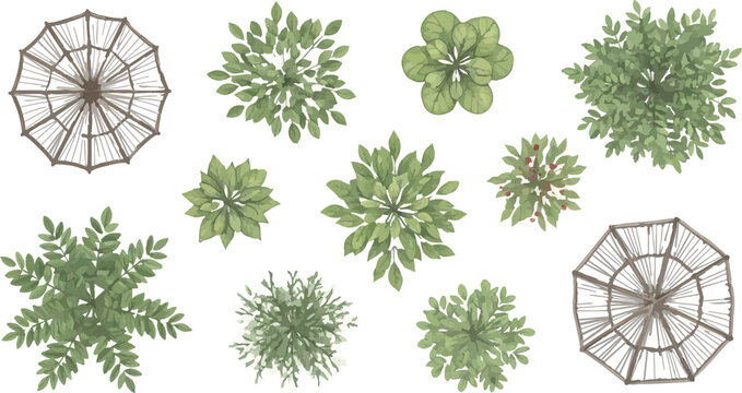 Top view landscape trees and garden umbrellas, architectural site plan symbols for landscaping design, set of 11 vector plant and patio icons