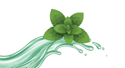 Water splash with mint leaves vector illustration, green herbal liquid wave, fresh organic drink and skincare concept for packaging, labels, ads © rani