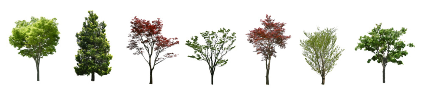 Front View Vector Icons of Trees and Plants for Floor Plan and Architectural Design Projects	