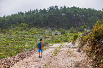 Obraz premium Summer holidays. Hiking with children. Boy with a backpack. Active healthy lifestyle. Weekend hike.