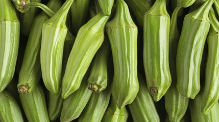 Fototapeta premium A Vibrant Display of Fresh Green Okra in a Bountiful Harvest, Capturing Nature s Abundant Colors