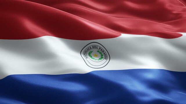 Paraguay Flag Seamless Loop Animation