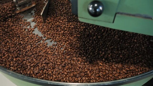 Roasted Coffee Beans Cooling in Industrial Tray