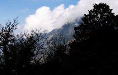 Obraz premium Rocky mountain cliff with forest vegetation and rugged natural texture