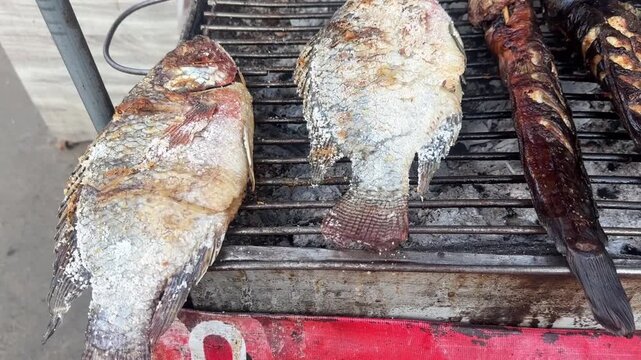Close up video of grilled fish on charcoal barbecue with smoky texture cooking traditional street food meal