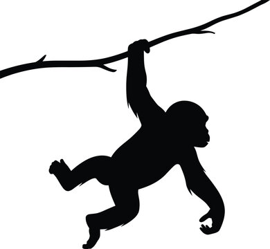 PrintMonkey silhouette hanging from tree branch, playful primate illustration, wildlife concept, jungle animal design, nature vector art, agility posture