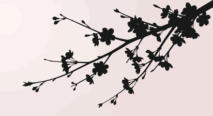 Delicate silhouette of a blooming cherry blossom branch with small flowers and buds against a soft gradient pink and white background evoking springtime and natural beauty © Pabitra