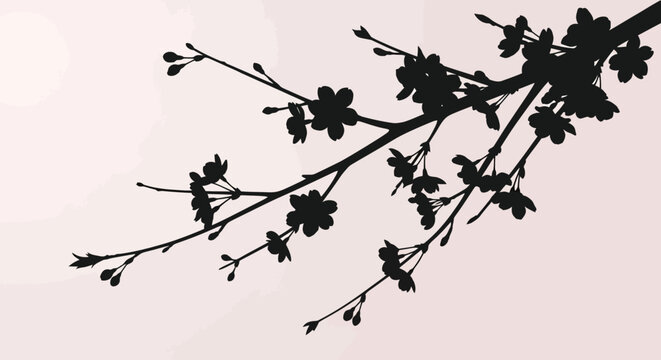Delicate silhouette of a blooming cherry blossom branch with small flowers and buds against a soft gradient pink and white background evoking springtime and natural beauty