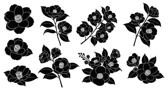 Elegant black camellia flower silhouettes isolated on white background delicate botanical illustrations for design and decoration vector art collection