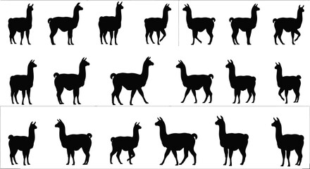 Collection of black llama silhouettes in various poses and movements isolated on a clean white background showcasing a versatile graphic resource for design projects © Pabitra