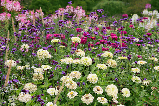 Buntes Blumenbeet im Garten