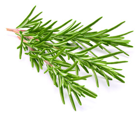 Fototapeta premium Rosemary isolated on a white background