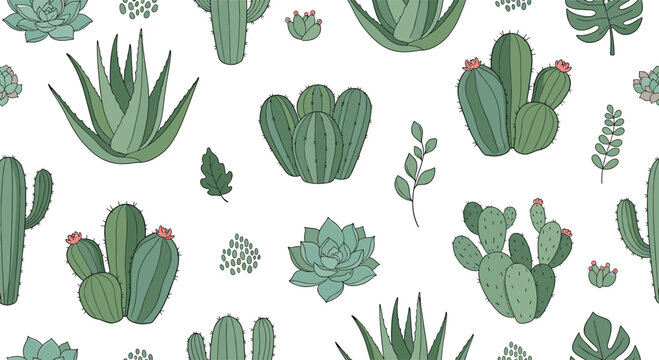 Cactus and succulent seamless pattern vector with desert plants aloe agave and prickly pear illustration isolated on white background