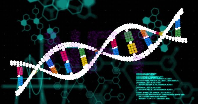 On play, DNA helix waving and rotating while base pairs changing color, code scrolling showing data