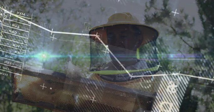 Beekeeper lifting hive frame toward lens, inspecting comb as animated charts moving across