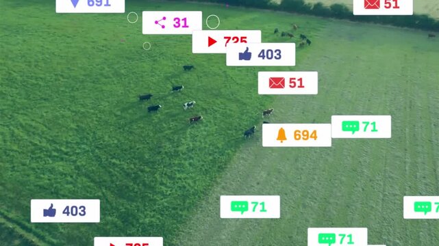 Herd of cattle moving toward edge while cursor clicking initiating farm metric labels over herd
