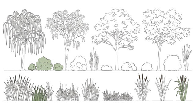 Vector CAD design style illustration of trees and plants in a landscape