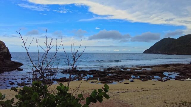 Establishing shot of vegetation and rocks on the secluded beach of Puerto Escondido on a cloudy day with a light drizzle, Aragua, Venezuela