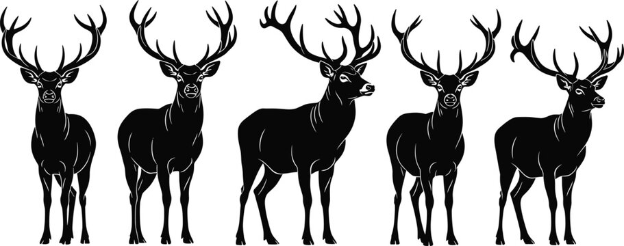 Collection of five black deer silhouettes with impressive antlers on a white background isolated on transparent background