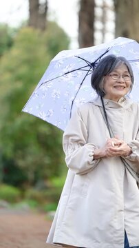 傘をさして散歩する高齢女性の穏やかで健康的なアクティブシニアの縦動画全身　梅雨や雨などのイメージ
