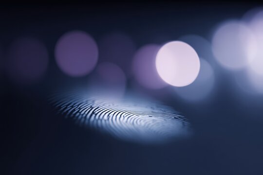 Authentication token verification interface