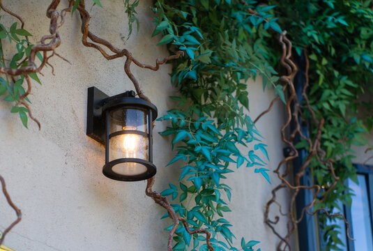 Charming Night Street Lamps are Delicately Illuminating the Textured Brick Wall Nearby