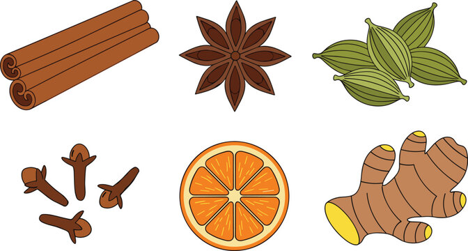 Vector illustration of aromatic spices cinnamon star anise cardamom cloves ginger and orange slice isolated for cooking, tea, holiday flavor ingredients background design