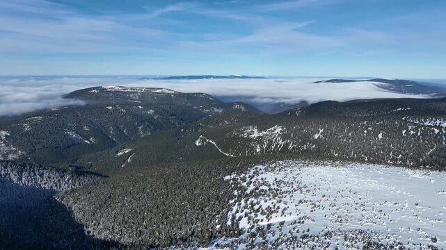 Mountain winter Jeseniky beautiful snow aerial drone shot during natural ice form spruce tree Picea forest frost cold cool ice tundra biome frigid temperature birds eye top view footage. Famous