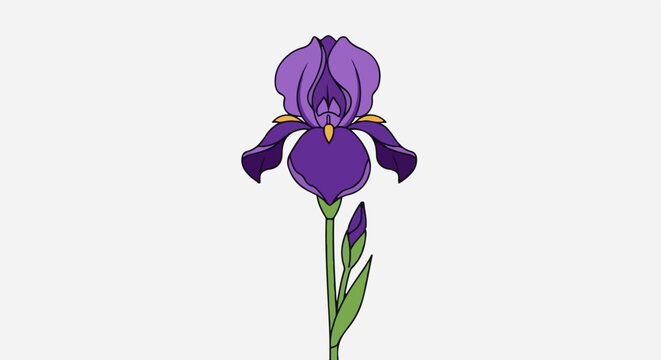 A stylized purple iris with a green stem and bud