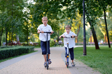 Two active little brothers riding scooter on road in park outdoors on summer day. Seasonal child activity sport. Healthy childhood lifestyle © Loginova