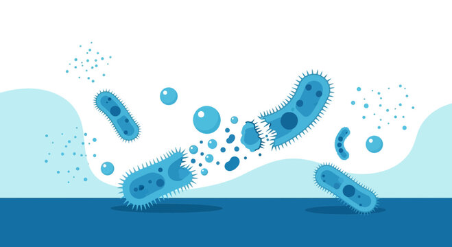 Microscopic Blue Paramecium Protozoa Bacteria Cells Floating in Water with Bubbles