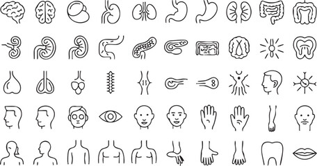 Naklejka premium Art & IllustrationAnatomy line icon collection with internal organs for science and biology use 