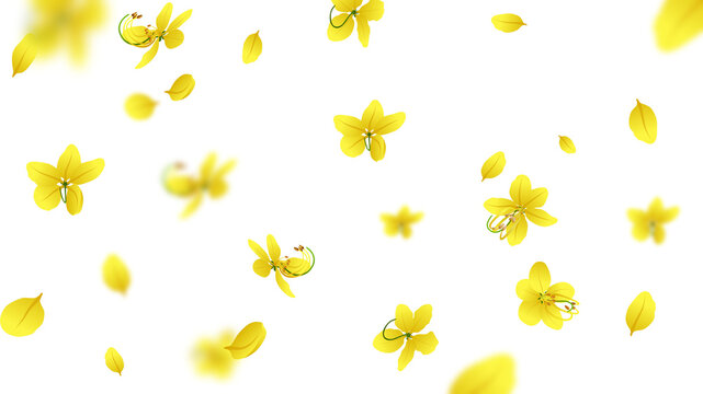 Falling Kanikkonna, Golden Shower or Cassia Fistula flowers and petals on transparent background, Kerala Vishu festival illustration