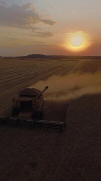 Soybean (Glycine max) harvesting with Case IH axial flow combine and flex header in Formosa, Goi&aacute;s, Brazil, showing dust plume, harvest lanes and mechanized grain production, vertical aerial