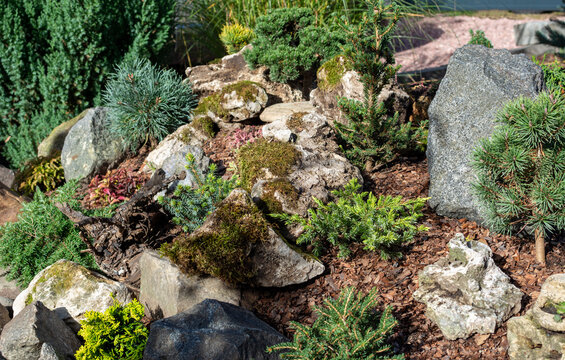 Alpine Gardening.  Rocks, soil, and hardy plants are put together  to make a beautiful, low-maintenance setting that looks like the Alps.