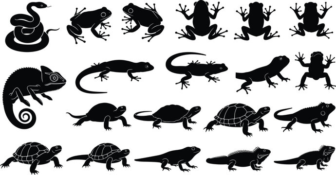 Reptile and amphibian black silhouette set with snake frog lizard turtle chameleon and iguana species isolated on white background for nature wildlife vector design.