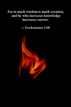 Ecclesiastes 1 18