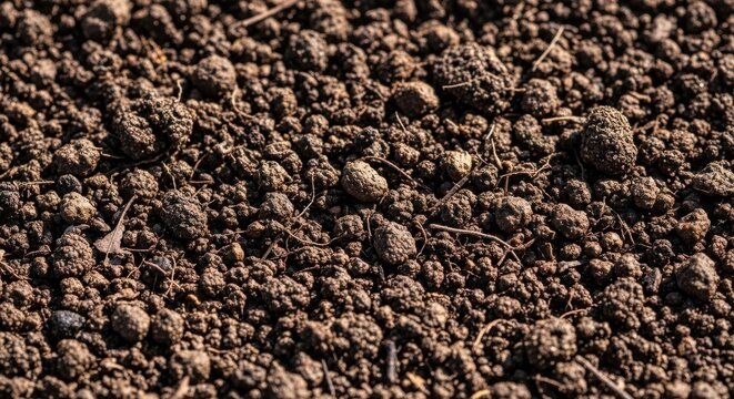 Close up view of rich dark brown granular soil texture with small clods and organic debris