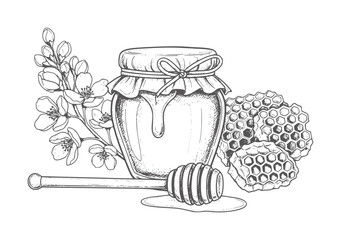 Hand drawn honey jar with dipper honeycomb and flowers © Mehedy
