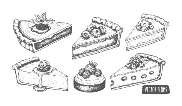Six hand drawn slices of pie and tart with berries and mint berry strawberry