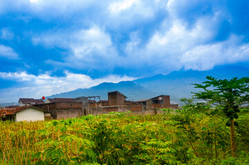 Fototapeta premium Village Natural Landscape