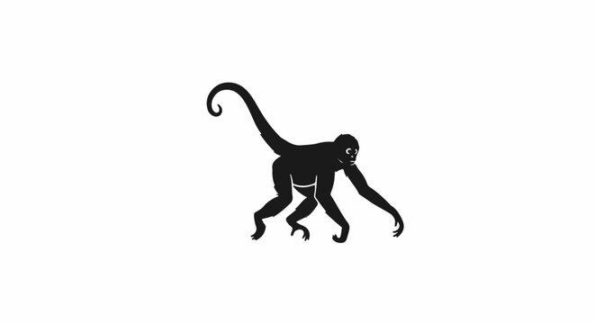Silhouette of a monkey with a long, curled tail, on a white background