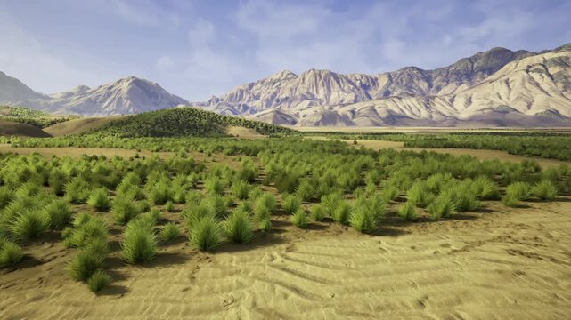 research corridor crossing arid shrubland plain, transect tracks and vehicle access marks visible, soil sampling stations and GPS waypoints for field study,