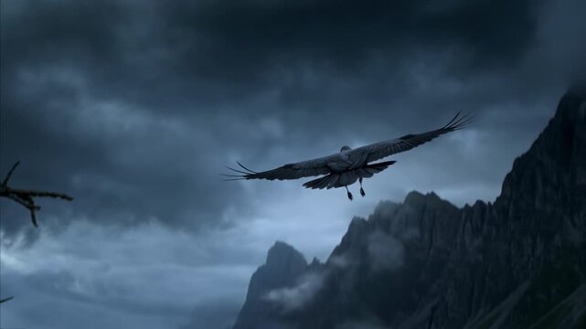 Solitary Bird On Mountaintop Observes Misty Valley Beneath Before Spreading Wings For Flight