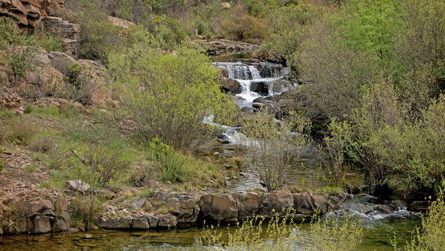 Wasserfall der Ribeira da Foupana nahe Mealha, Algarve