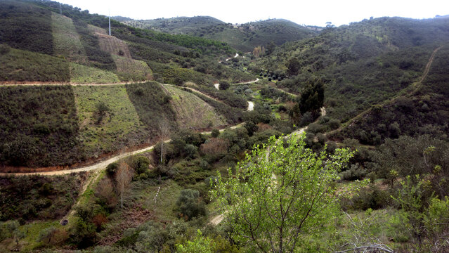 Umgebung zwischen Cachopo und Mealha, Serra do Caldeir&atilde;o, Algarve