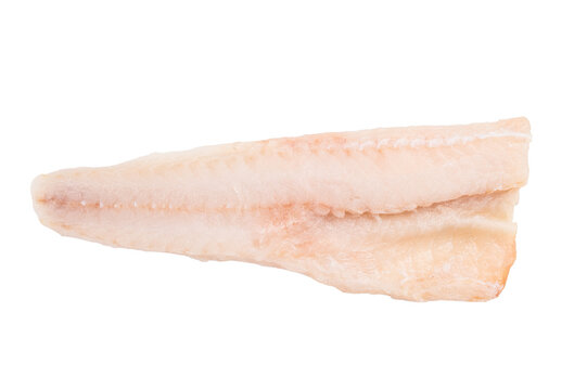 Raw pollock white fish fillet isolated on white background. top view